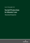 Image for Social Protection in Islamic Law: Theoretical Perspective