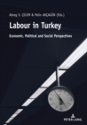 Image for Labour in Turkey: Economic, Political and Social Perspectives