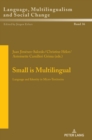 Image for Small is Multilingual : Language and Identity in Micro-Territories
