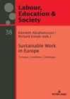 Image for Sustainable Work in Europe: Concepts, Conditions, Challenges