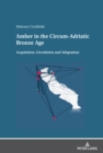 Image for Amber in the Circum-Adriatic Bronze Age