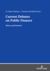 Image for Current Debates on Public Finance: Theory and Practice