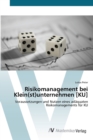 Image for Risikomanagement bei Klein(st)unternehmen [KU]