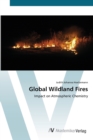 Image for Global Wildland Fires