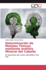 Image for Determinacion de Metales Toxicos mediante analisis Mineral del Cabello