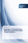Image for Hydrogen Production from EtOH by Supercritical Water Partial Oxidation