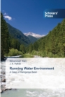 Image for Running Water Environment