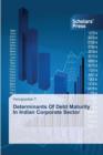 Image for Determinants Of Debt Maturity In Indian Corporate Sector