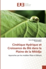 Image for Cinetique Hydrique et Croissance du Ble dans la Plaine de la Mitidja