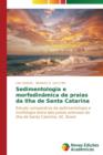 Image for Sedimentologia e morfodinamica de praias da Ilha de Santa Catarina