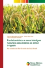 Image for Pentatomideos e seus inimigos naturais associados ao arroz irrigado