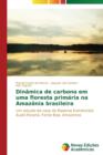 Image for Dinamica de carbono em uma floresta primaria na Amazonia brasileira