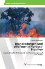 Image for Brandrodungen und Wildfeuer in Nordost-Brasilien