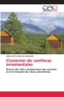 Image for Clonacion de coniferas ornamentales