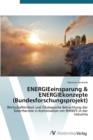 Image for ENERGIEeinsparung &amp; ENERGIEkonzepte (Bundesforschungsprojekt)