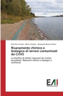Image for Risanamento chimico e biologico di terreni contaminati da Cr(VI)