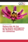 Image for Deteccion de los principales patogenos de Bombus impatiens en colmenas