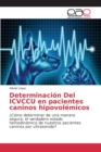 Image for Determinacion Del ICVCCU en pacientes caninos hipovolemicos