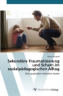 Image for Sekundare Traumatisierung und Scham im sozialpadagogischen Alltag