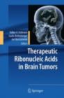 Image for Therapeutic ribonucleic acids in brain yumors