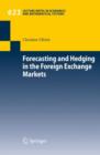 Image for Forecasting and Hedging in the Foreign Exchange Markets