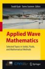 Image for Applied Wave Mathematics