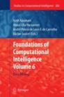 Image for Foundations of computational intelligenceVolume 6,: Data mining