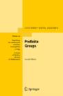 Image for Profinite groups