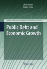 Image for Public debt and economic growth