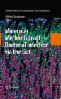 Image for Molecular mechanisms of bacterial infection via the gut