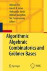 Image for Algorithmic Algebraic Combinatorics and Grobner Bases