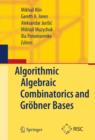 Image for Algorithmic algebraic combinatorics and Grobner bases