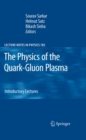 Image for The physics of the quark-gluon plasma: introductory lectures