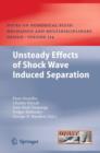 Image for Unsteady Effects of Shock Wave induced Separation