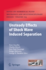 Image for Unsteady effects of shock wave induced separation