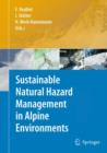 Image for Sustainable Natural Hazard Management in Alpine Environments