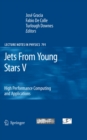Image for Jets from Young Stars V: high performance computing and applications