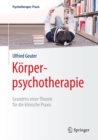 Image for Korperpsychotherapie: Grundriss einer Theorie fur die klinische Praxis