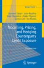 Image for Modelling, pricing, and hedging counterparty credit exposure: a technical guide