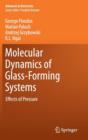 Image for Molecular dynamics of glassforming systems  : the effect of pressure