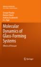 Image for Molecular dynamics of glassforming systems: the effect of pressure