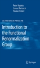 Image for Introduction to the functional renormalization group