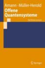 Image for Offene Quantensysteme