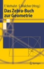 Image for Das Zebra-buch Zur Geometrie
