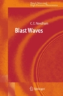 Image for Blast waves