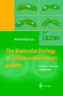 Image for The molecular biology of Schizosaccharomyces pombe  : genetics, genomics and beyond
