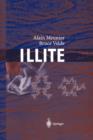 Image for Illite