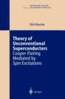 Image for Theory of Unconventional Superconductors