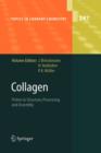 Image for Collagen : Primer in Structure, Processing and Assembly