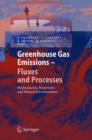 Image for Greenhouse Gas Emissions - Fluxes and Processes